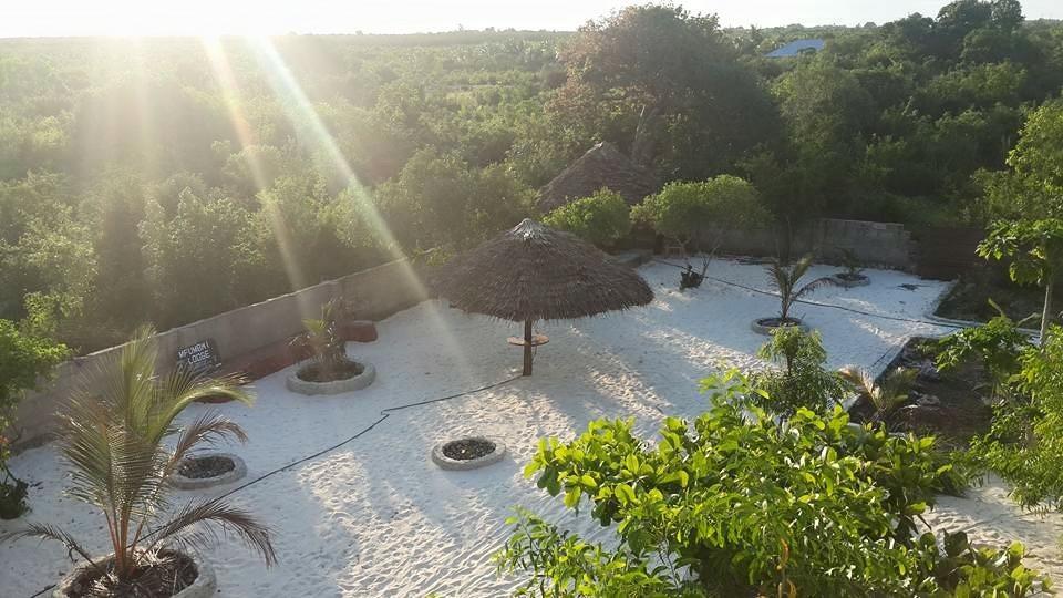 גאמביאני Mfumbwi Lodge מראה חיצוני תמונה